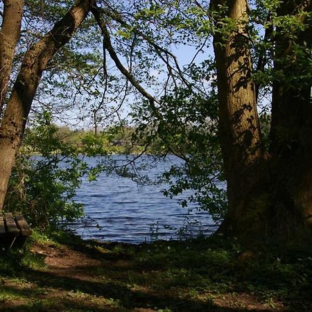Fewo Am See 15A Klein Wittensee Eksteriør bilde