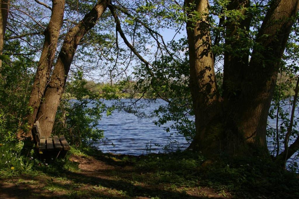 Fewo Am See 15A Klein Wittensee Eksteriør bilde