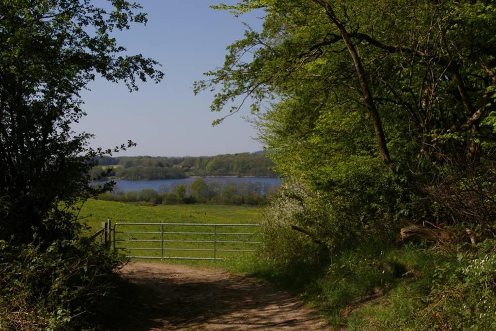 Fewo Am See 15A Klein Wittensee Eksteriør bilde
